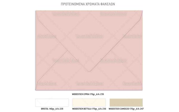 TS937-Νο91Κ_1200Χ1200 Προσκλητήριο Βάπτισης Για Κορίτσι Με Θέμα Boho Woodland TS937