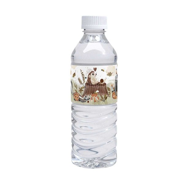 xartino_etiketa_nerou_bottle_water_vaptisis_baptism_tsantakides_TS742_01_groovy_boy_music_mousiki_agori_louloudia_flowers Ετικέτα Νερού Για Βάπτιση